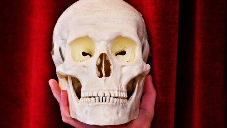 Hamlet (Foto: Robert Malota/Colourbox) Hamlet (Foto: Robert Malota/Colourbox)