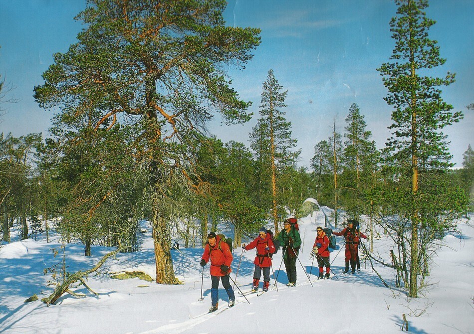 Vintertur i Femundsmarka