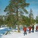 Vintertur i Femundsmarka