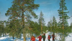 Vintertur i Femundsmarka
