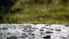 Regn  (Foto: KVALE,  JENS O/SCANPIX)