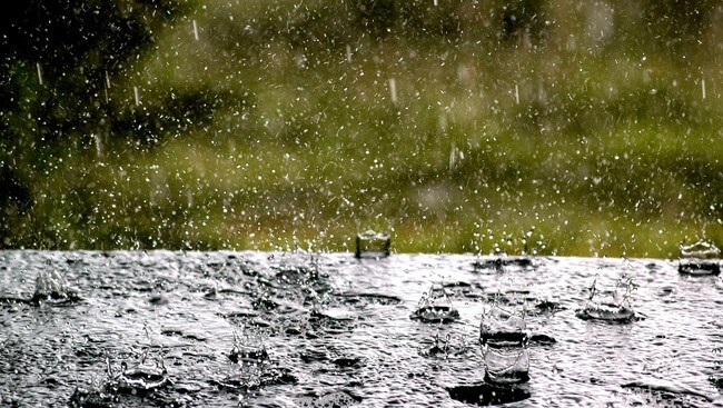 Regn  (Foto: KVALE,  JENS O/SCANPIX)