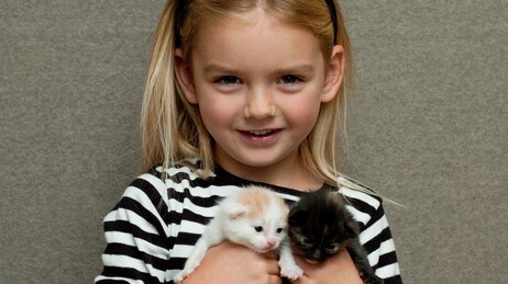 Liten jente med to kattunger. (Foto: Colourbox)