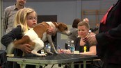 Klart eg kan - Ada - Ada har sin eigen hund. Det er mykje å passe på og det verste ho veit er når ho må plukke opp hundebæsj. Snart skal Ada på ein hundekonkurranse med hunden sin. Det er første gong og Ada er redd for alt det gale hunden kan finne på.