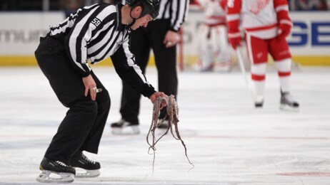 Detroit Red Wings (Foto: Bruce Bennett/Afp) Detroit Red Wings (Foto: Bruce Bennett/Afp)