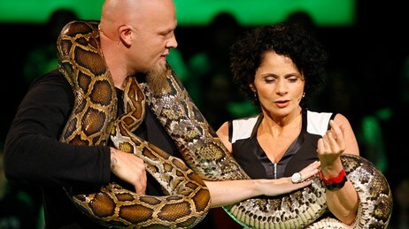 Kvitt eller dobbelt, Remi Andersen, Nadia Hasnaoui (Foto: Anne Liv Ekroll/NRK) Kvitt eller dobbelt, Remi Andersen, Nadia Hasnaoui (Foto: Anne Liv Ekroll/NRK)