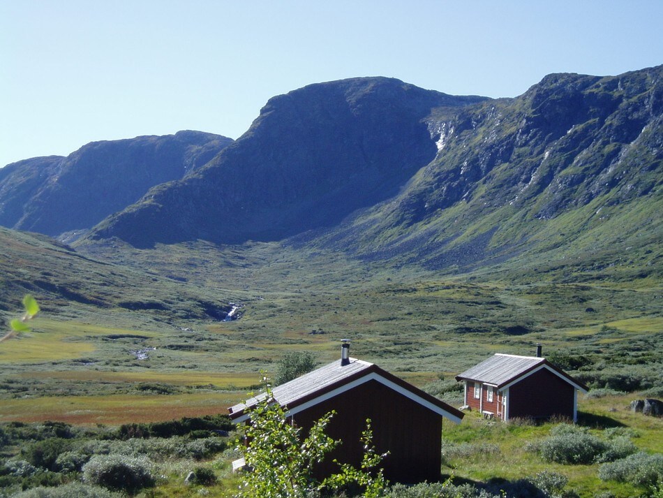 Yksendalsbu sommeren 2010
