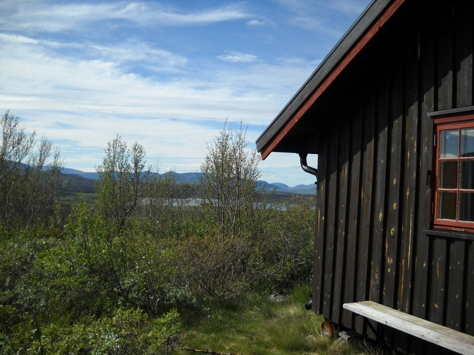 Solveggen på Skriurusten. Juli 2010