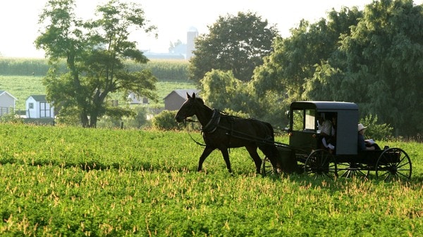 Farvel til amish-paradiset