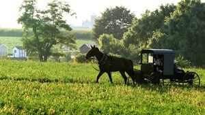 Farvel til amish-paradiset