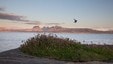 Utsikt over Saltfjorden mot Børvasstindan