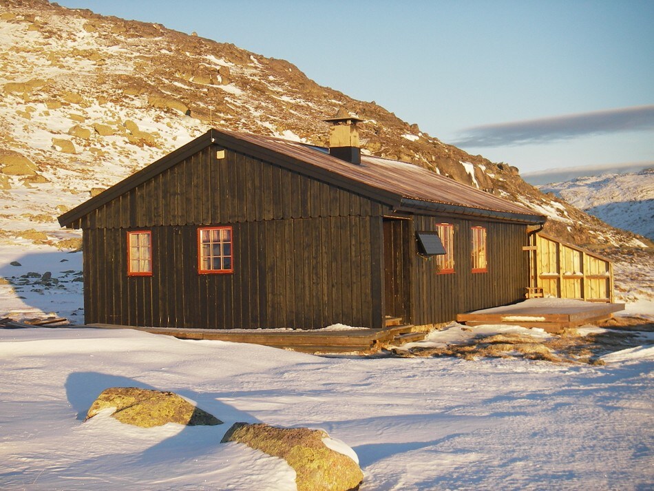 Tjørnbrotbu