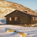 Tjørnbrotbu