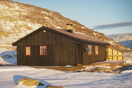 Tjørnbrotbu