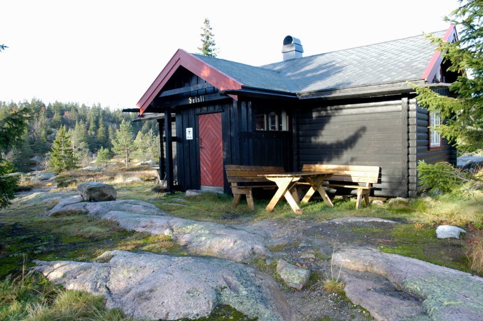 Selsli