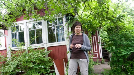Rodeløkken kolonihage (Foto: Holm, Morten/SCANPIX) Rodeløkken kolonihage (Foto: Holm, Morten/SCANPIX)