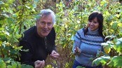 John Skien og Samina Bruket