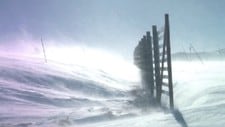 Vind og snø (Foto: Erik Bolstad)