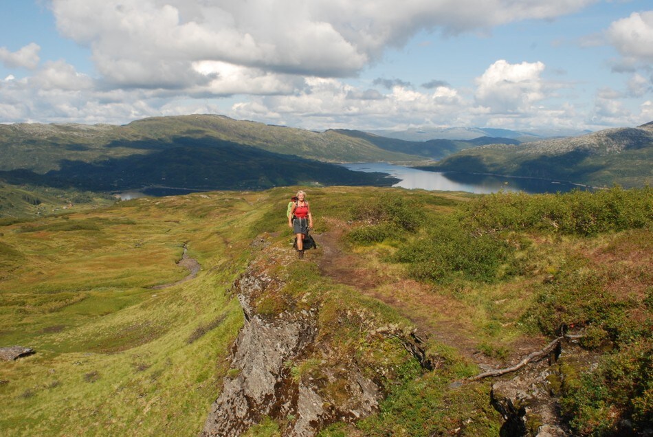 På stien mellom Hamlagrø i Bergsdalen og Vending turisthytte. Hamlagrøvatnet bak.   T-merket rute.