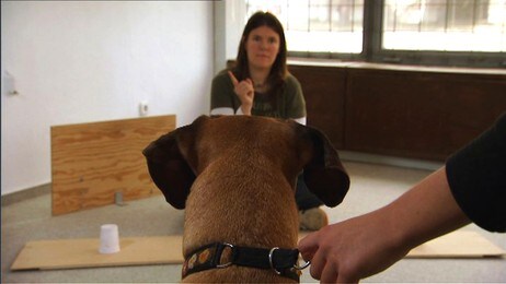 Hundetrening (Foto: Copyright: National Geographic) Hundetrening (Foto: Copyright: National Geographic)