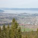 Trondheimsmarka