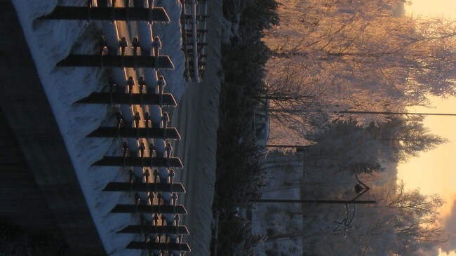 Kaldt i Elverum (Foto: Aase Dahling, Elverum)