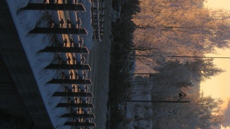 Kaldt i Elverum (Foto: Aase Dahling, Elverum) Kaldt i Elverum (Foto: Aase Dahling, Elverum)