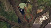 Sjekk dette utrolige golfslaget fra et tre  - Sergio Garcia var noe uheldig på gårsdagens golfrunde i Arnold Palmer Invitational, da ballen hans landet i treet. Men i stedet for å droppe ballen så tok han utfordringen og klatret friskt opp og fikk ballen ned der den hører hjemme, på greenen. Redigering: Hilda Klaveness