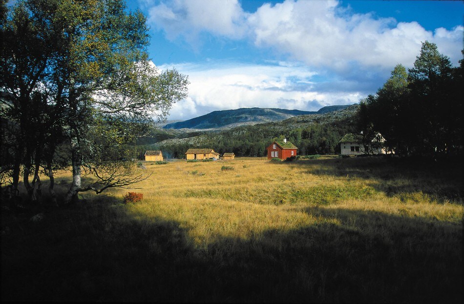 Hyttene på Bleskestadmoen ligger på en vakker stølsvoll omkranset av fjellbjørkeskog