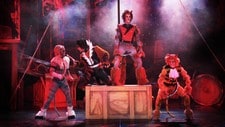 cats (Foto: May Langhelle)