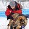 Sveitiske Jean-Luc Forstrer er en av 11 veterinærer som følger Finnmarksløpet 2010. Sveitiske Jean-Luc Forstrer er en av 11 veterinærer som følger Finnmarksløpet 2010.