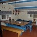 Svartskogkoia