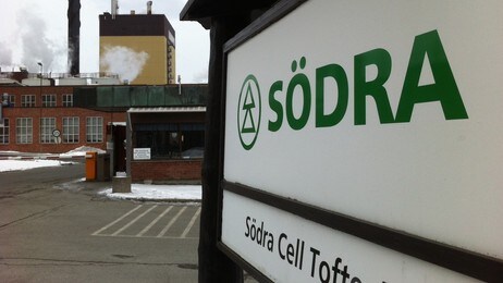 Södra Cell på Tofte (Foto: Harald Inderhaug/NRK)