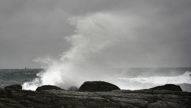 Storm (Foto: Mari Rollag Evensen/NRK/NRK) Storm (Foto: Mari Rollag Evensen/NRK/NRK)
