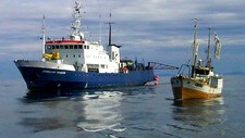 Tre fiskebåter hindret seismikkskipet 'Polshkov' å drive oljeleting i havområdet utenfor Vesterålen (Foto: Scanpix/SCANPIX) Tre fiskebåter hindret seismikkskipet 'Polshkov' å drive oljeleting i havområdet utenfor Vesterålen (Foto: Scanpix/SCANPIX)