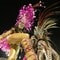 Karneval i Rio. Karneval i Rio.