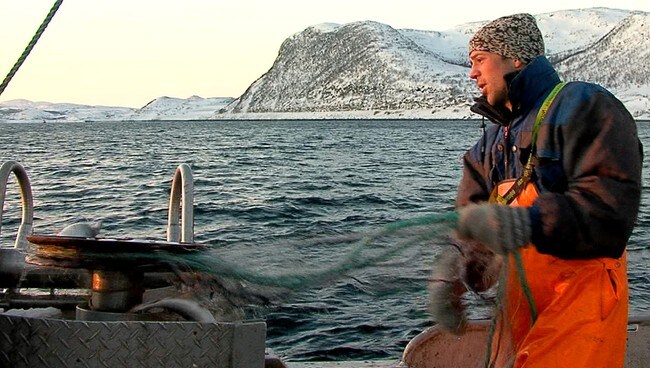 Kasta på land (Foto: Harry Johansen) Kasta på land (Foto: Harry Johansen)