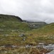 Forollhogna