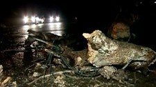 Video Tyfonen Megi har truffet Filippinene (Foto: Nyhetsspiller)