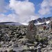 Dovrefjell