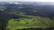Regnskogen i Brasil (Foto: Antonio Scorza/AFP/Scanpix) Regnskogen i Brasil (Foto: Antonio Scorza/AFP/Scanpix)