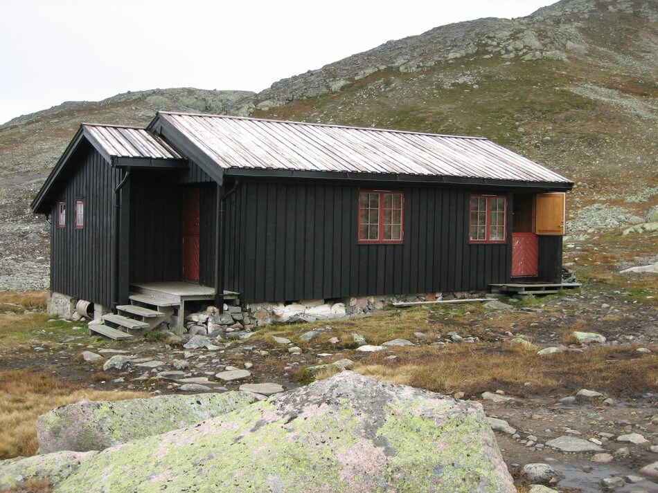 Tjørnbrotbu