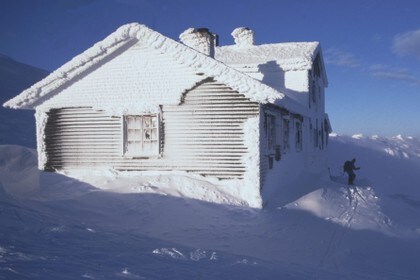 Høgevarde