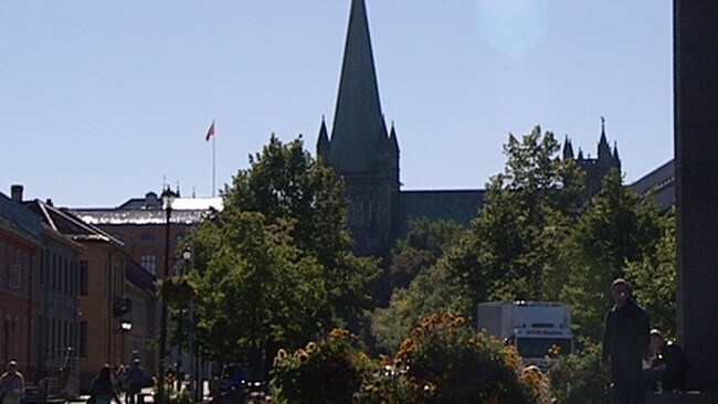 Trondheim overgrodd (Foto: Ole Petter Klepp)