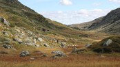 Lemen-år i høstfjellet