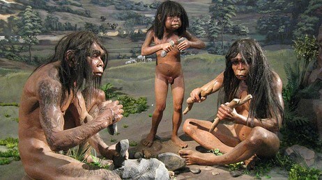 Homo erectus-familie (Foto: National Museum of Indonesia, Jakarta) Homo erectus-familie (Foto: National Museum of Indonesia, Jakarta)