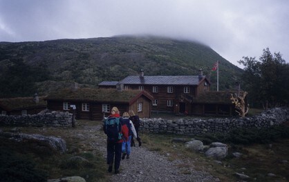 Bjørnhollia
