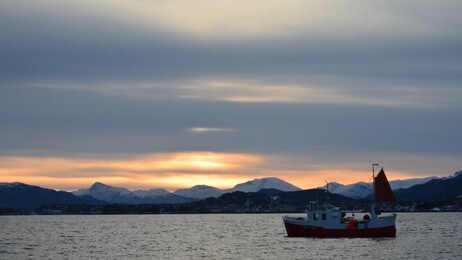 Kystfiskar Hessafjorden. (Foto: Olaug Bjørneset/NRK) Kystfiskar Hessafjorden. (Foto: Olaug Bjørneset/NRK)