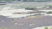 Flom i Gudbrandsdalen