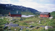 Blomstølen